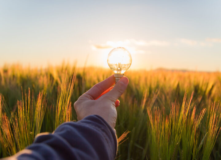 287699 Gettyimages 531030200 E1756198371650