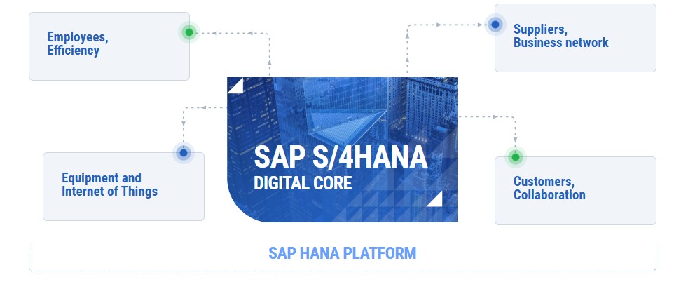 Sap Hana Platform