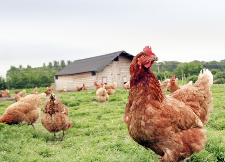 288782 Gettyimages 604305006 E1763549429696