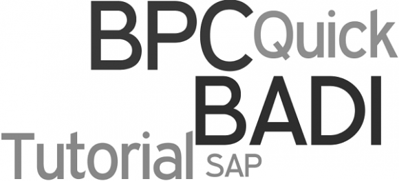 Sap Bpc Badi Quick Tutorial