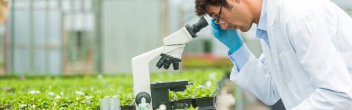 Image Via Syngenta For Sap Newsbyte Jan 2025 Scientist In Greenhouse 1920X600 1