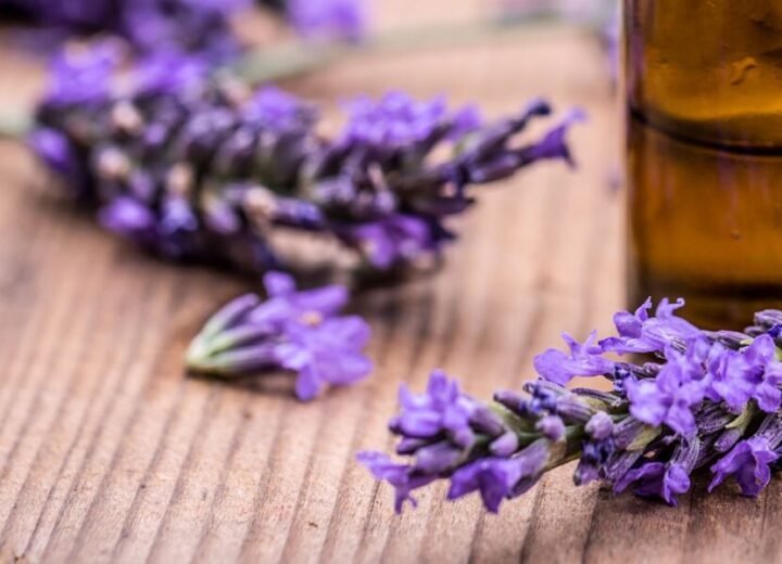 284738 Shutterstock 454094560 2600 Uncropped F 1920X600 1