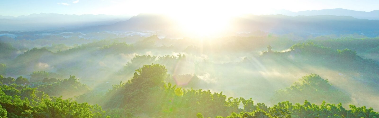 291240 Gettyimages 154555865 Medium Uncropped F 1920X600 1